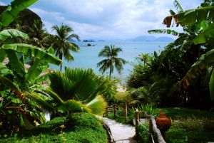 Thailanda: Nu vor mai fi sejururi îndelungate fără viză